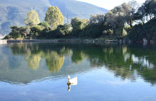 Melissani House - Photo 40