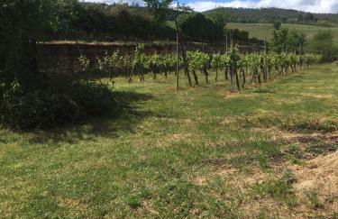 Beck Domaine du Rempart - Foto 13