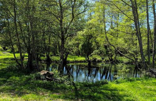 Holiday Home in Périgord Noir Dordogne in der Nähe von Limeuil by Interhome - Foto 23