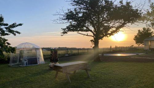 Le Moulin de la Garde - Foto 2, Garden view