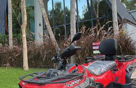 Cabana Sabá - Photo 4