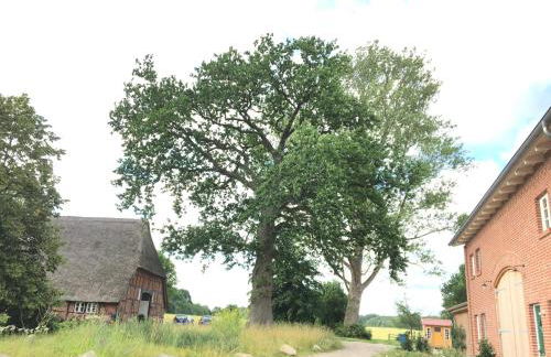 Ländliches HideAway zwischen Hamburg und Lübeck - Foto 4