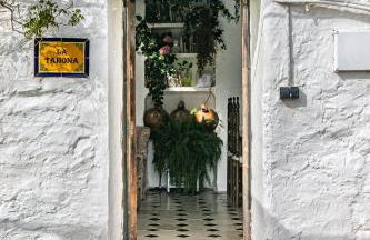 La Tahona (Cortijo Andaluz en las montañas) - Foto 52