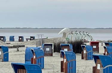 Seemöwe am Naturstrand - Foto 33