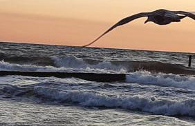 Perełka Kopań - Foto 43