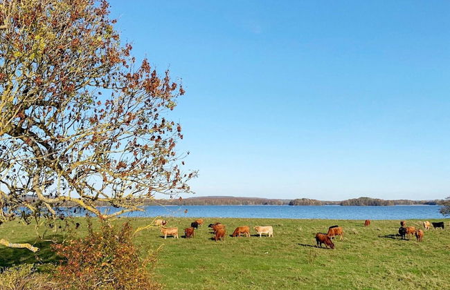 4 Person Holiday Home in Kristianstad-by Traum - Foto 14