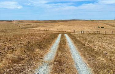 Canto da Planície - Foto 73