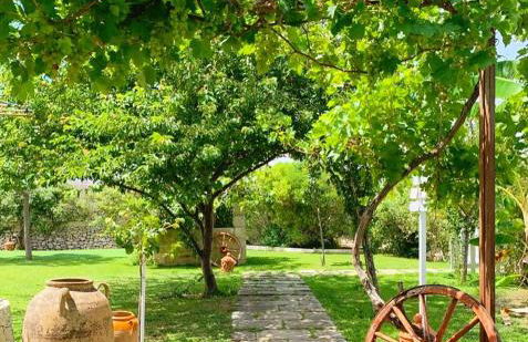 Masseria Vittoria - Foto 59