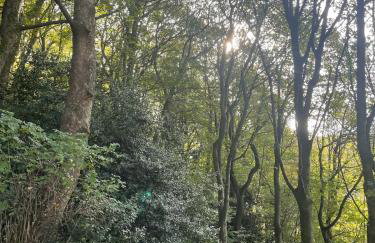 Little Hebden Bridge House - Foto 21