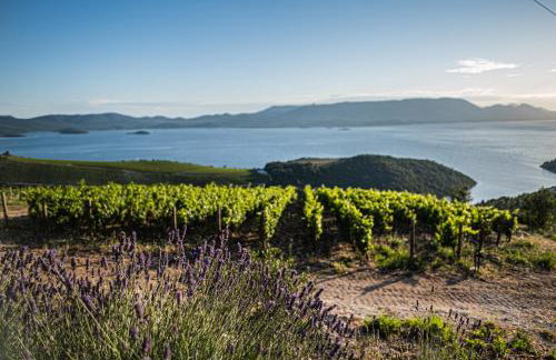 Nera Etwa House - Photo 53