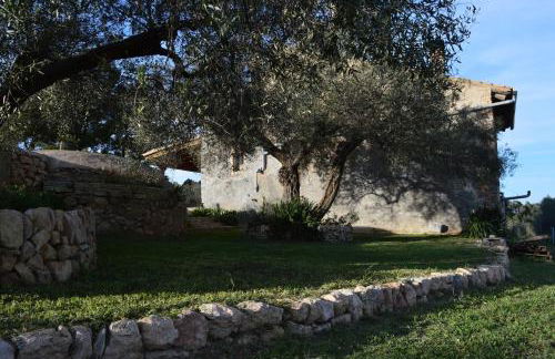 Mas Augueró - Foto 18