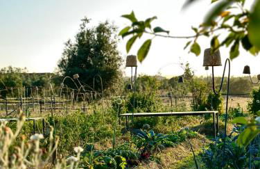 Tenuta Di Paternostro - Foto 24