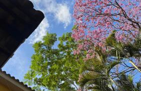 Rancho Fundo - Foto 26