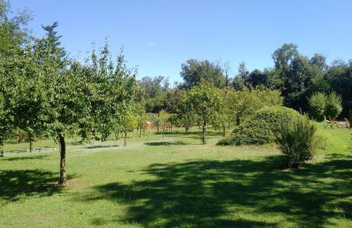 Milano Country Club - Villa with private pool and garden - Foto 65