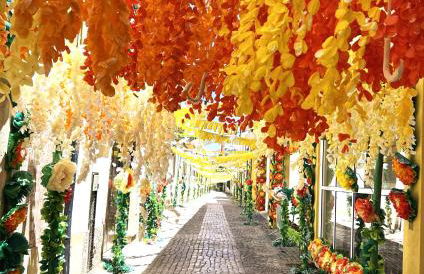 ESTÚDIO 81 junto à Sinagoga - Foto 79