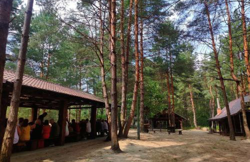 Leśna Osada Szegdy - Foto 29