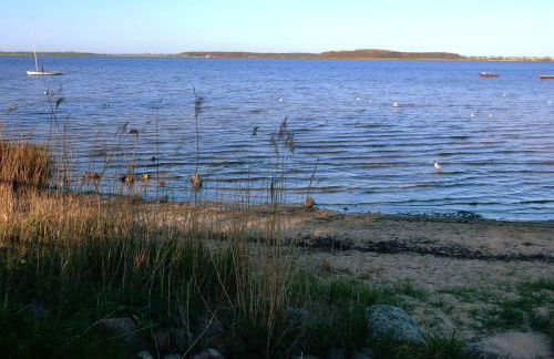 Apartments Sonne am Sund - Photo 73