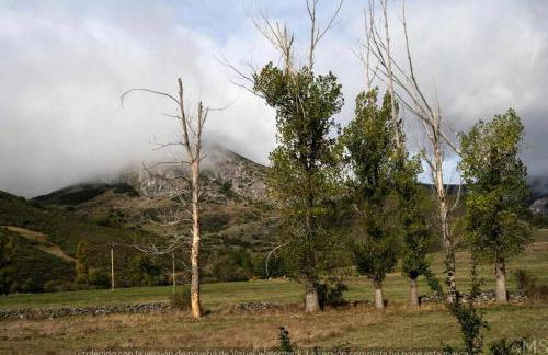 CASA RURAL LA PARDA - Foto 20