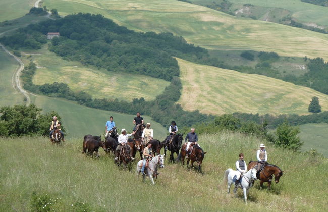 Il Poggio Agriturismo & Resort - Foto 13