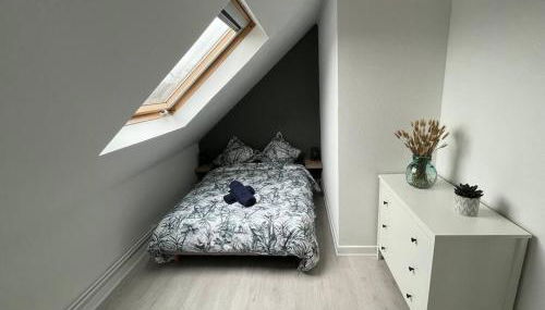 Appartement T3 rénové 60m2 proche centre Colmar - Foto 5