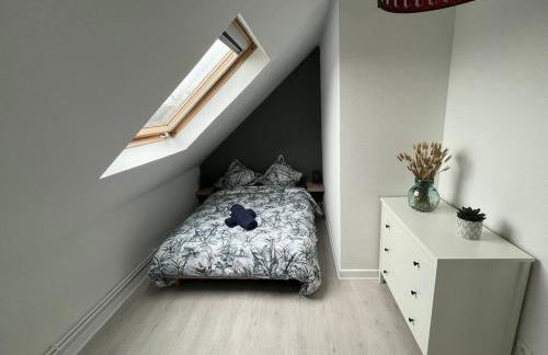 Appartement T3 rénové 60m2 proche centre Colmar - Foto 5