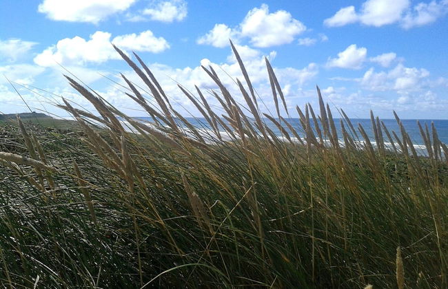 Holiday House Located Near the Forest, Lake and Sea - Foto 22