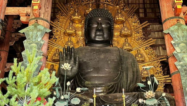 Free tour por Nara - Foto 3