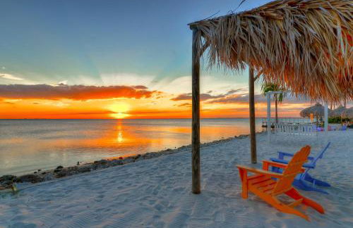 227-WIFI, New Paint, AMAZING Views, Close to BUCS stadium - Foto 32