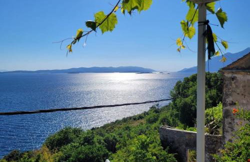 captain Ivo - Foto 16