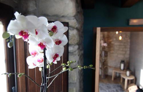 Gaubeako Ekhia - Foto 7