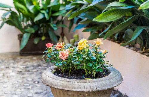 Apartments Sara - Photo 38