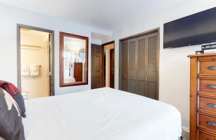 Mammoth Estates Condo - Free Parking & Pet Friendly - Foto 54