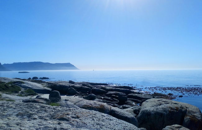 Edwardian Town House - Foto 10