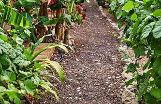 Finca OASIS Fataga - Foto 72