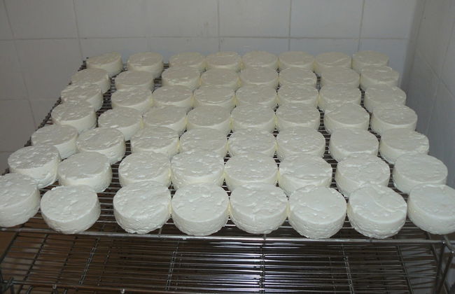 Cevennes Stone Retreat - Foto 32