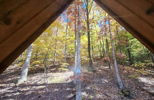 Rustic Tree A-Frame with Original Design by Tappan Lake in Ohio - Foto 15