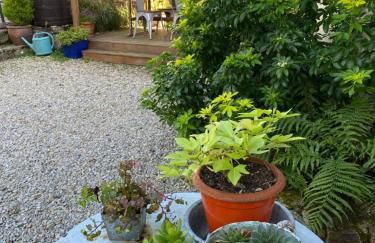 Gîte Maison Maitri - Foto 23