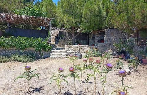 Traditional Creta stone house in serenity village - Foto 79
