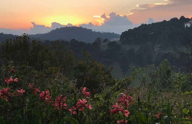 Cabañas Los Adobes - Foto 31