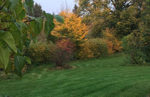 Ferienhaus Eifel Charlotte - Foto 35