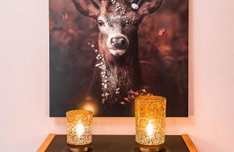 Poolhaus Bodensee ideal für Geschäftsreisende - Foto 16