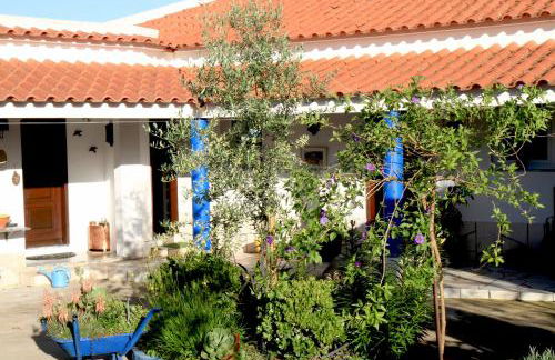 Casa dos Avós - Foto 5