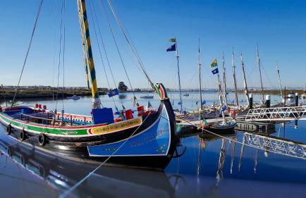 Vila Natura - Foto 82