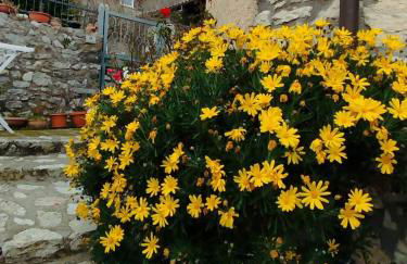 la casetta di Joanna - Foto 31