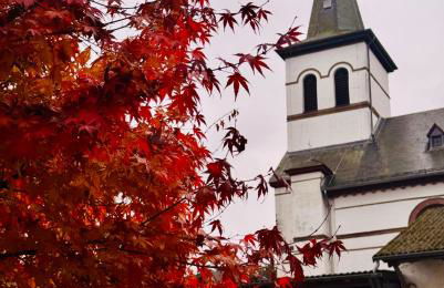 Ferienwohnung Burg Hausen - Foto 32