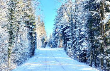 Chalet des Lacs - Foto 23