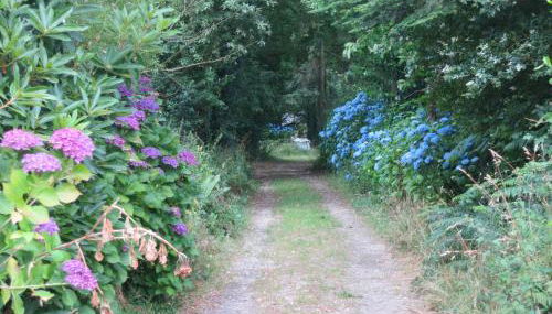 Gîte de vacances avec wifi - Foto 3, Garden, Garden view