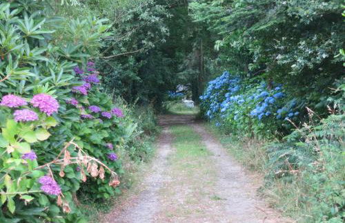 Gîte de vacances avec wifi - Foto 3