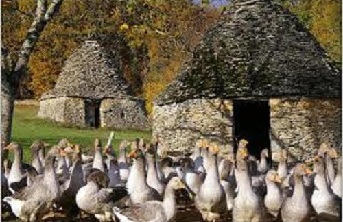 Les pruniers de la cipière - Foto 80