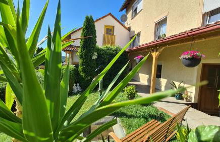 Kleines Waldglück in der Fränkischen Schweiz - Foto 6